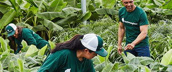 Grow Your Perfect Green Space