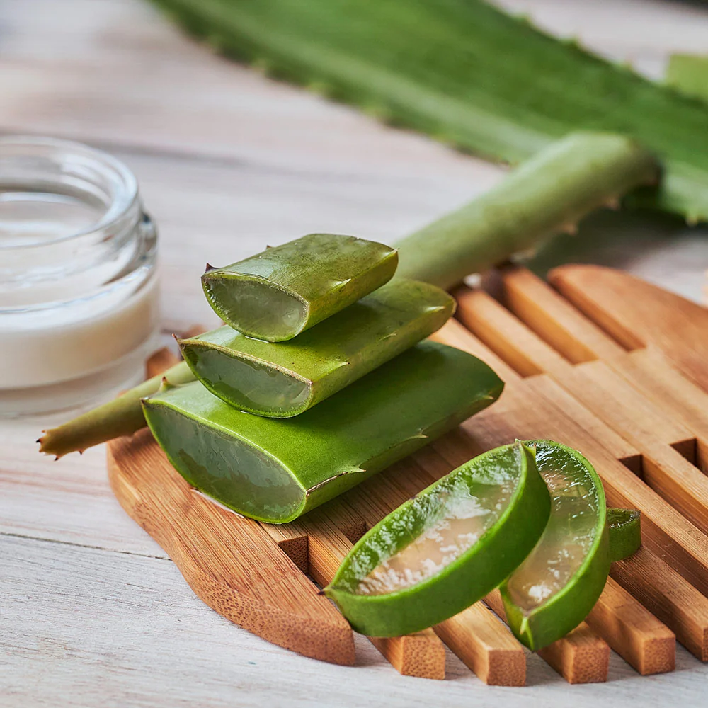 Aloe Vera Plant - Image 3
