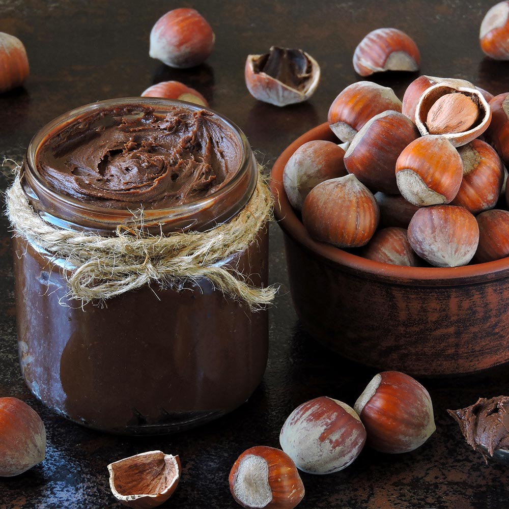 American Hazelnut Filbert Tree - Image 6