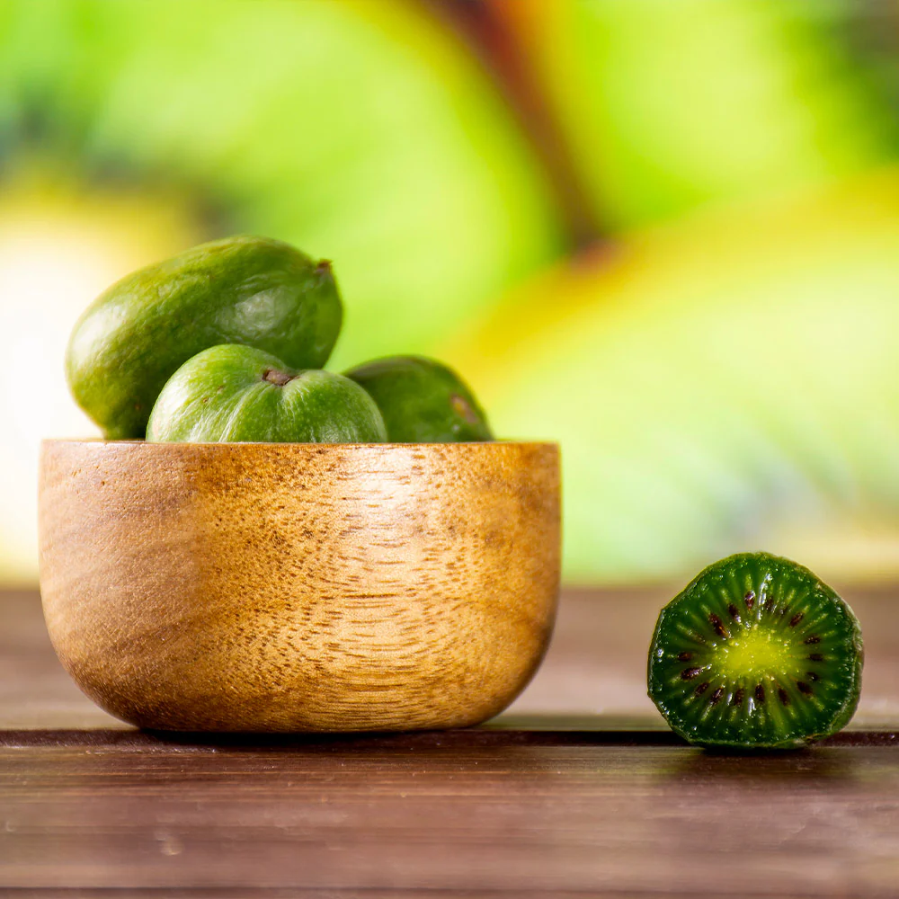 Anna & Meader Hardy Kiwi Vine - Image 4