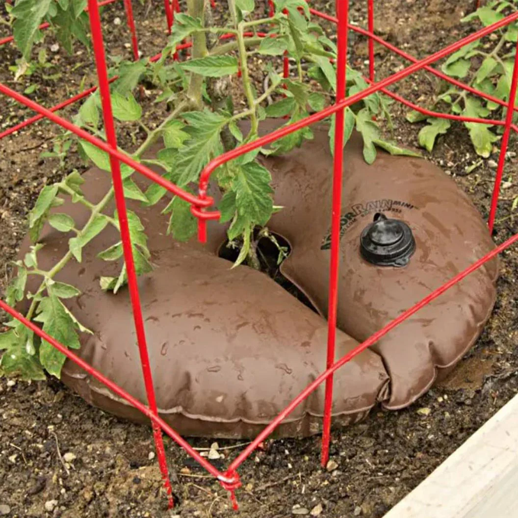 ArborRain™ Slow Release Watering Ring - Image 4
