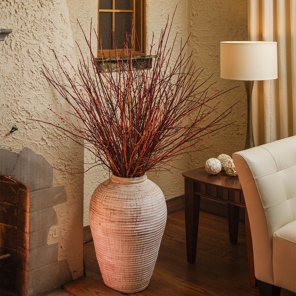 Proven Winners® Arctic Fire® Red Twig Dogwood Shrub - Image 5