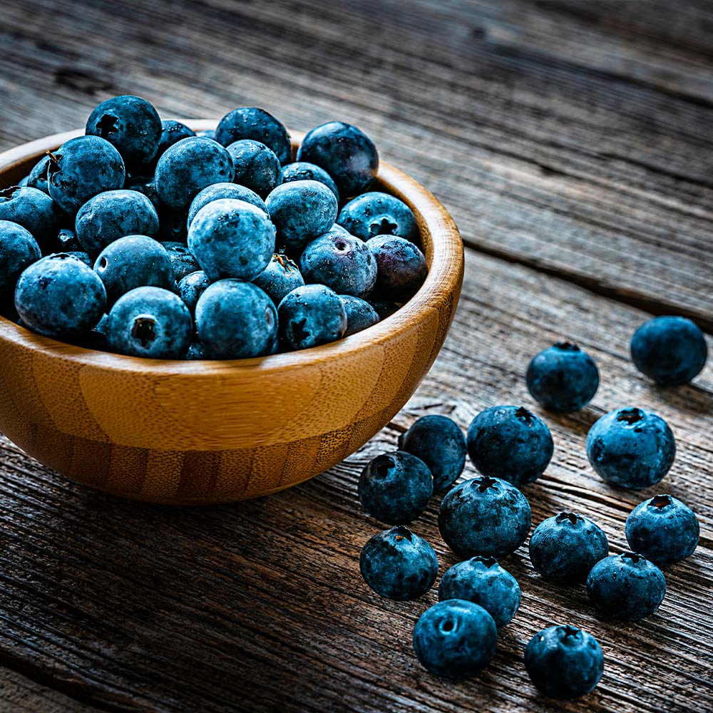 Aurora Blueberry Bush - Image 5