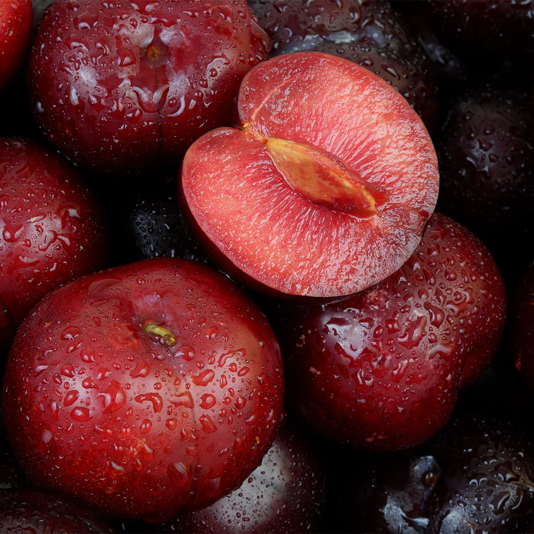Beauty Japanese Plum Tree - Image 3