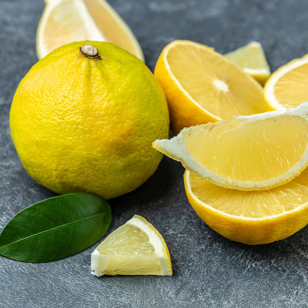 Bergamot Orange Tree - Image 2