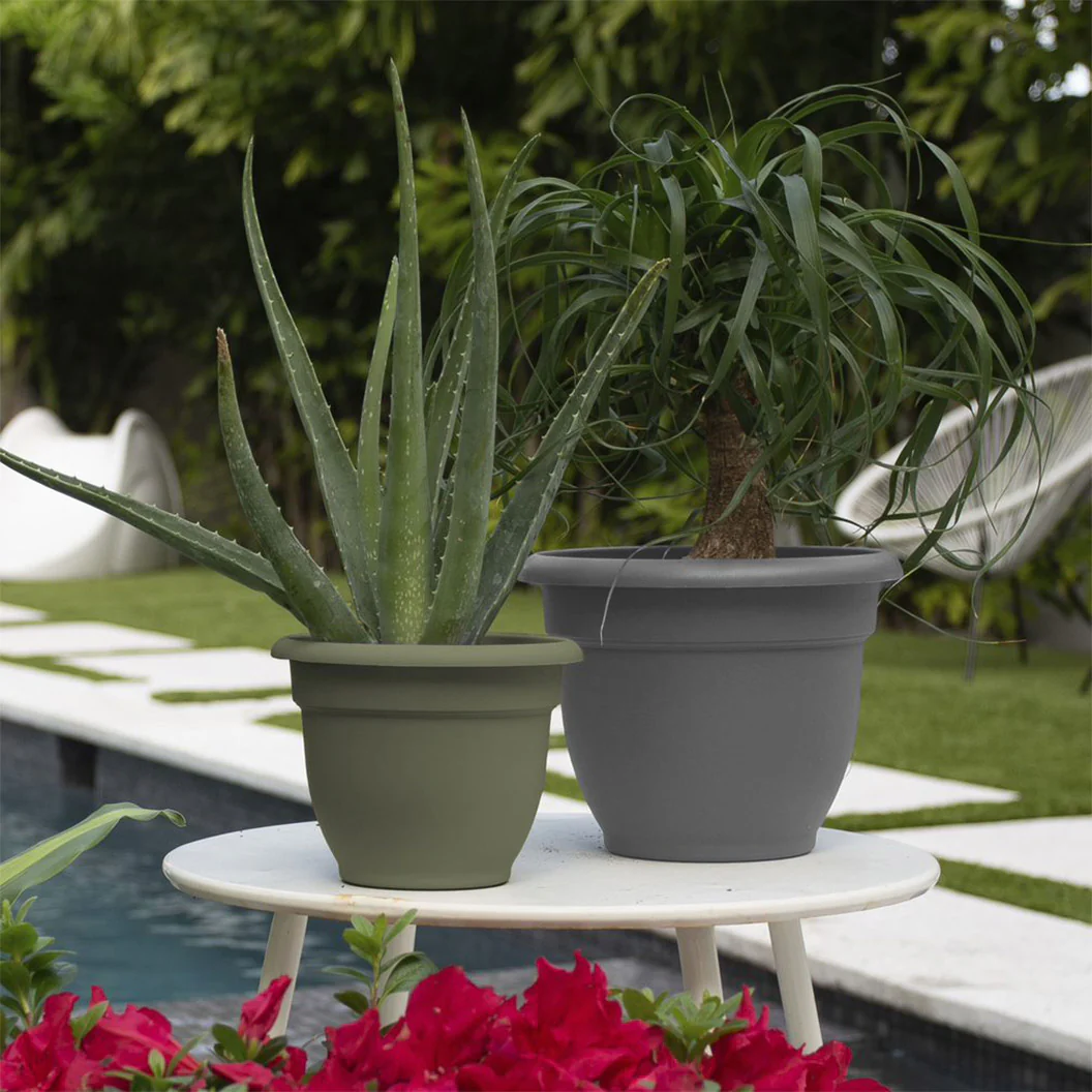 Bloem Ariana Self-Watering Planter in Charcoal - Image 6