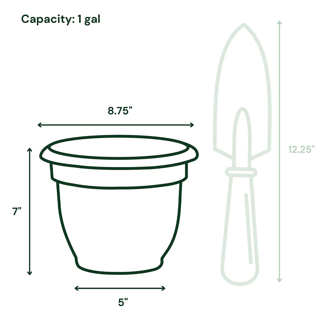 Bloem Ariana Self-Watering Planter in Charcoal - Image 7