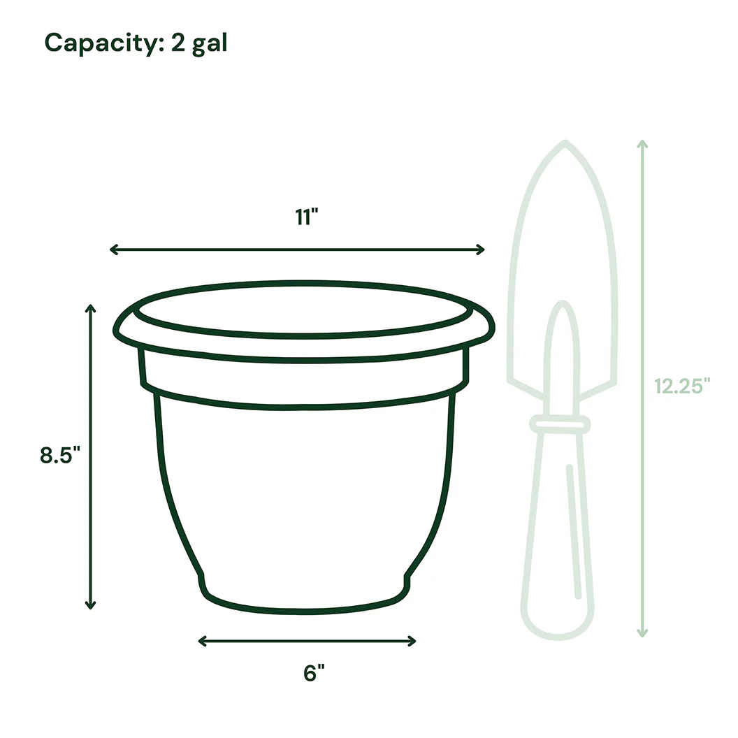 Bloem Ariana Self-Watering Planter in Charcoal - Image 8