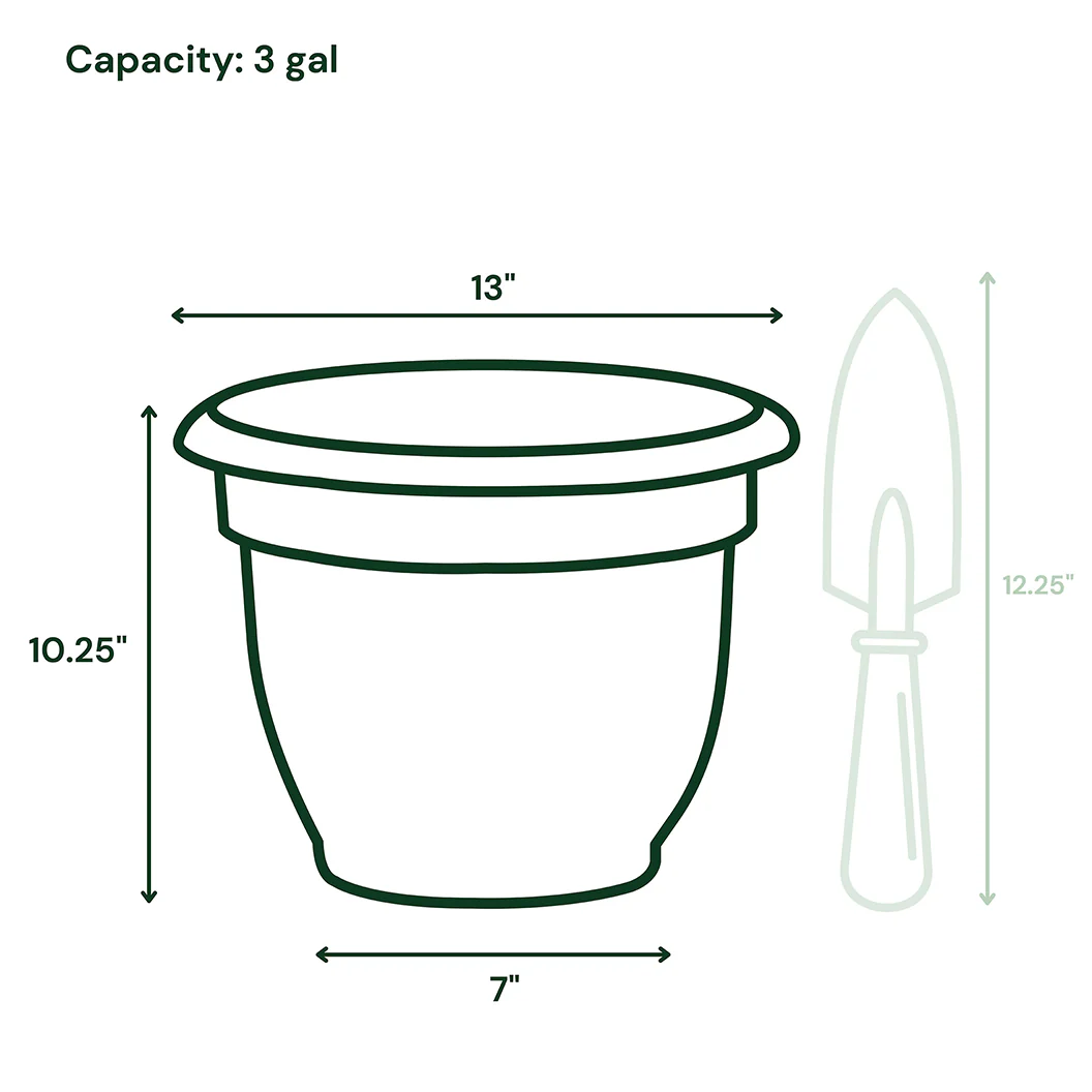Bloem Ariana Self-Watering Planter in Charcoal - Image 9
