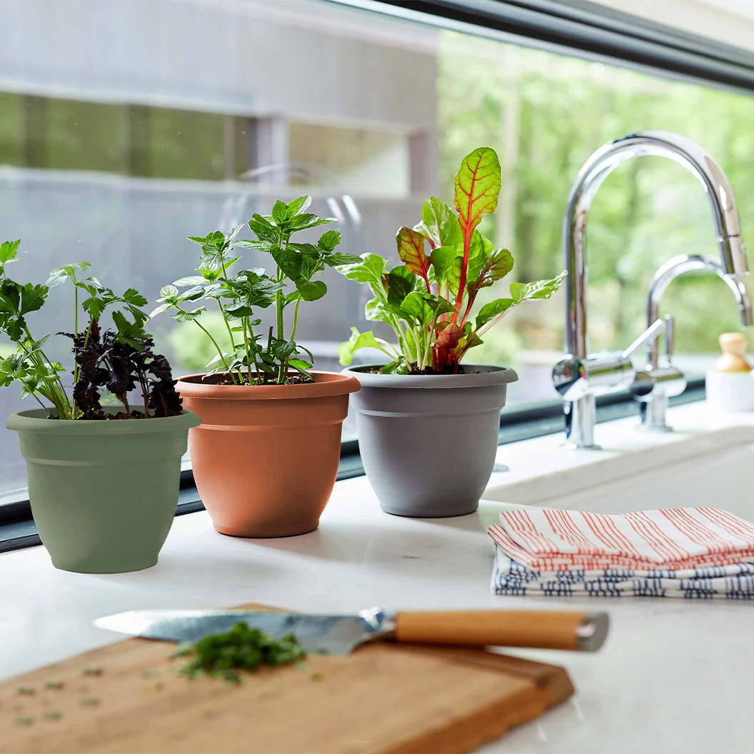Bloem Ariana Self-Watering Planter in Living Green - Image 6