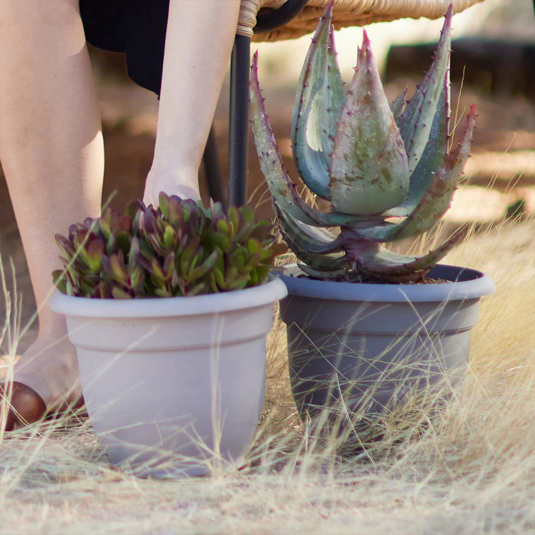 Bloem Ariana Self-Watering Planter in Pebble Stone - Image 6