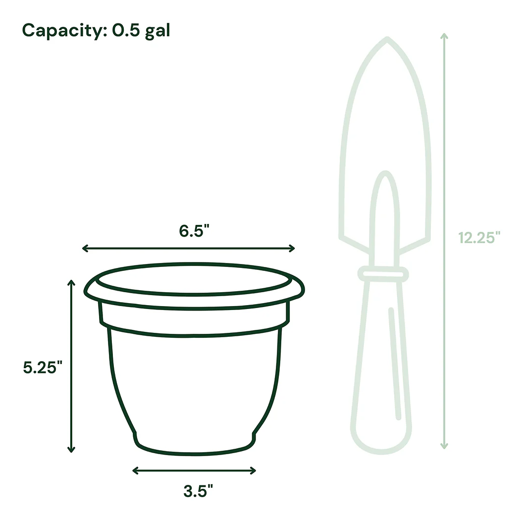 Bloem Ariana Self-Watering Planter in Terra Cotta - Image 10