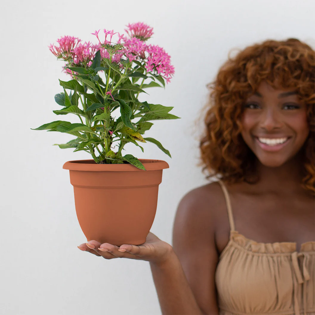 Bloem Ariana Self-Watering Planter in Terra Cotta - Image 5