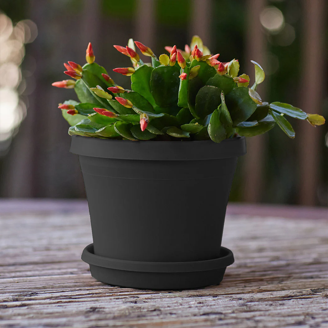 Bloem Terra Planter in Black - Image 5