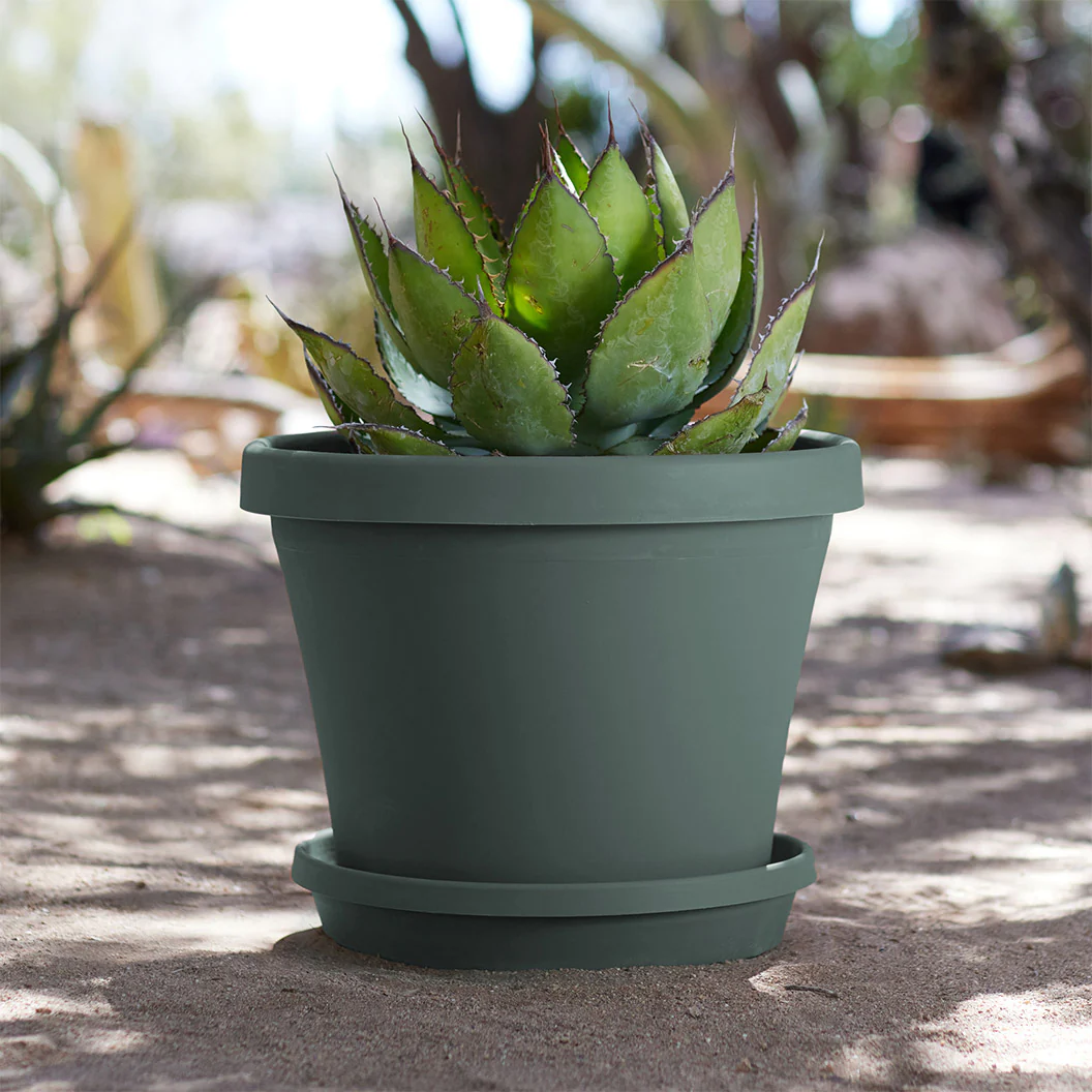 Bloem Terra Planter in Basil - Image 3