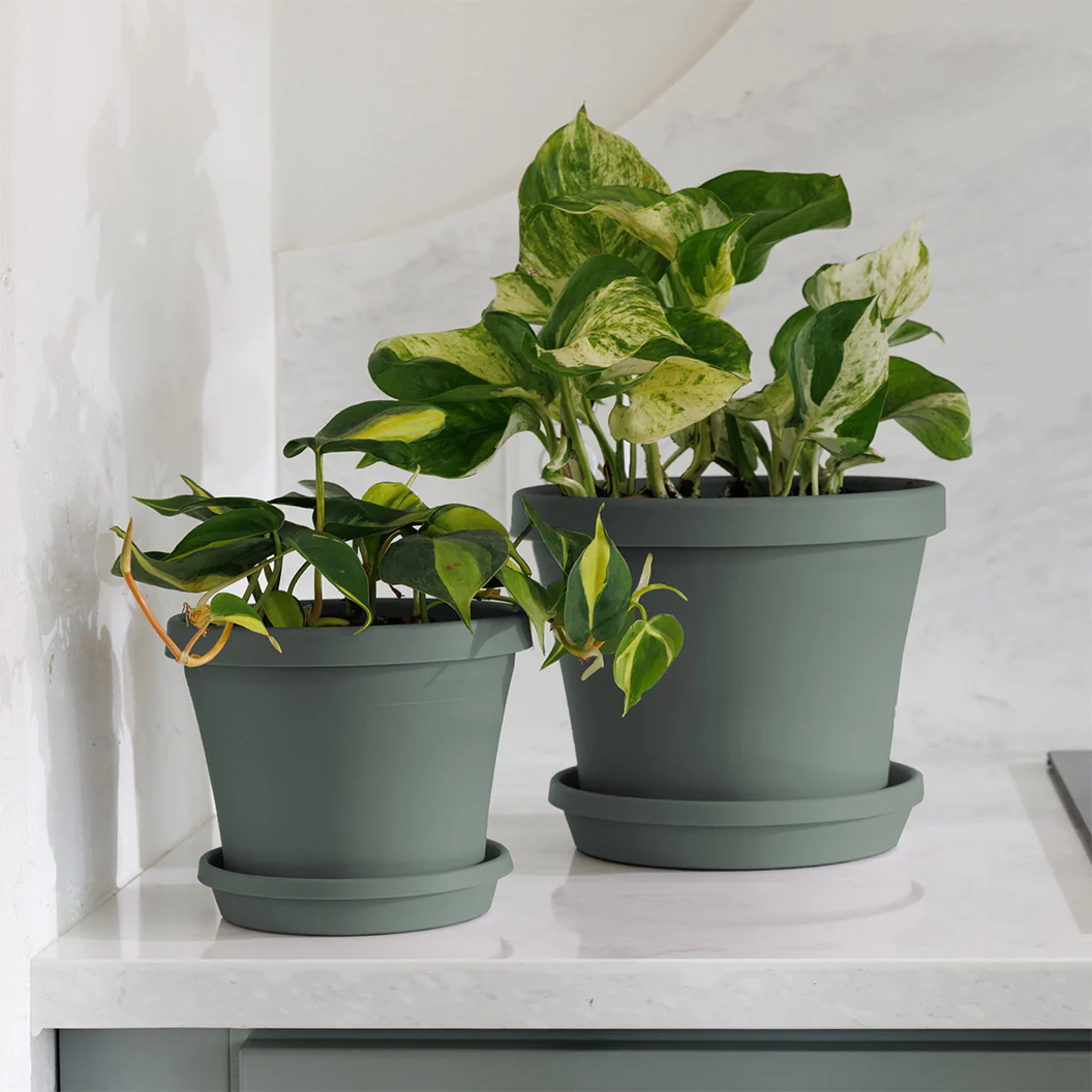 Bloem Terra Planter in Basil - Image 6
