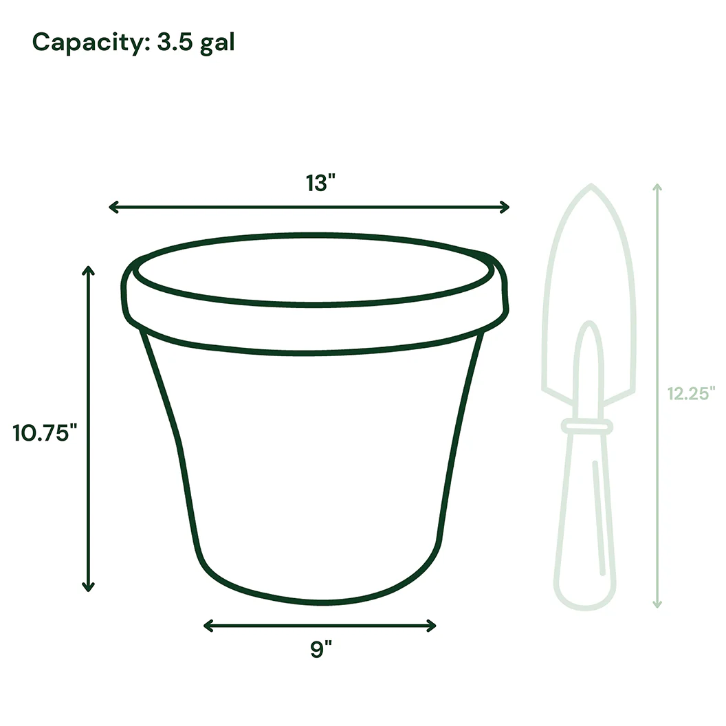 Bloem Terra Planter in Basil - Image 7