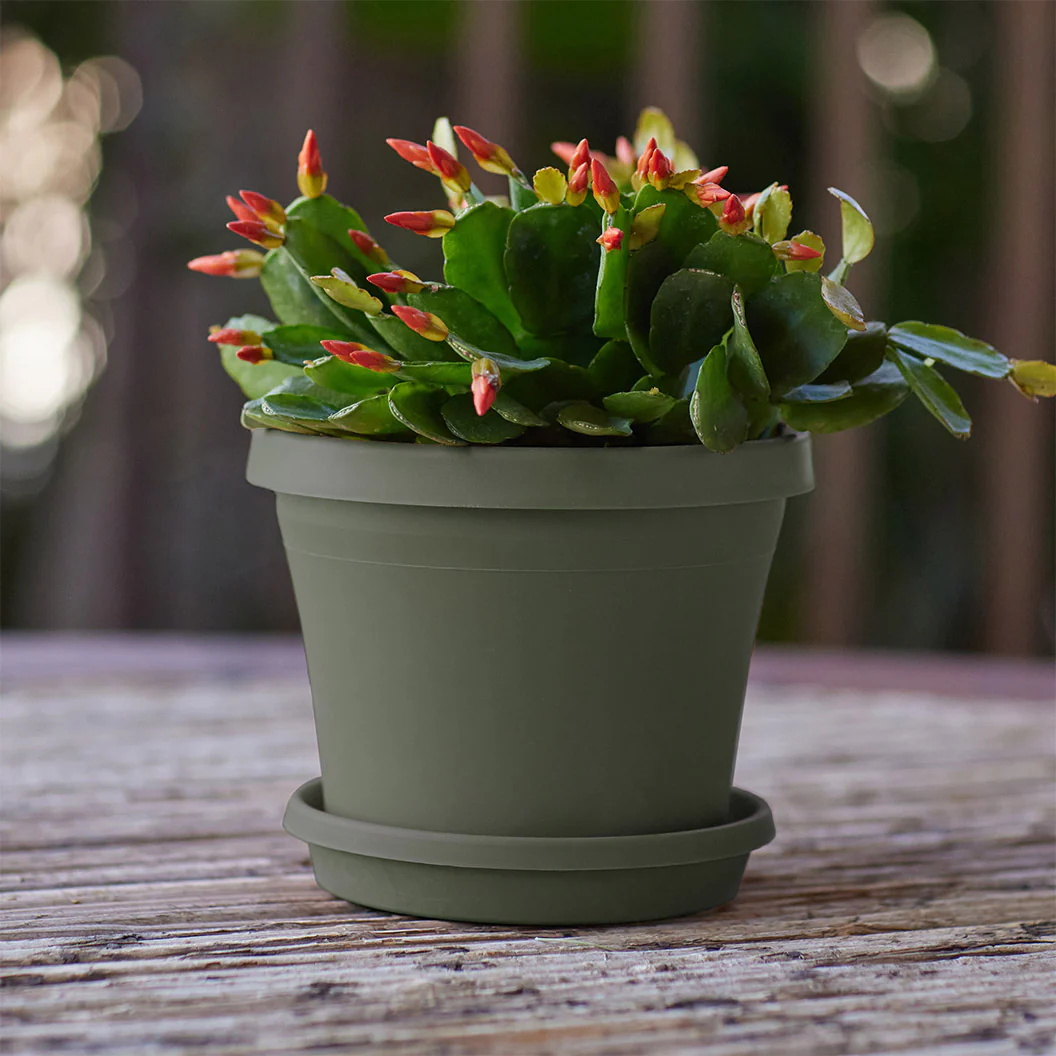 Bloem Terra Planter in Living Green - Image 6