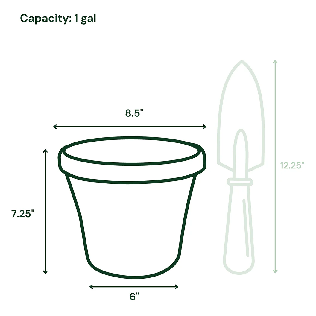 Bloem Terra Planter in Living Green - Image 7