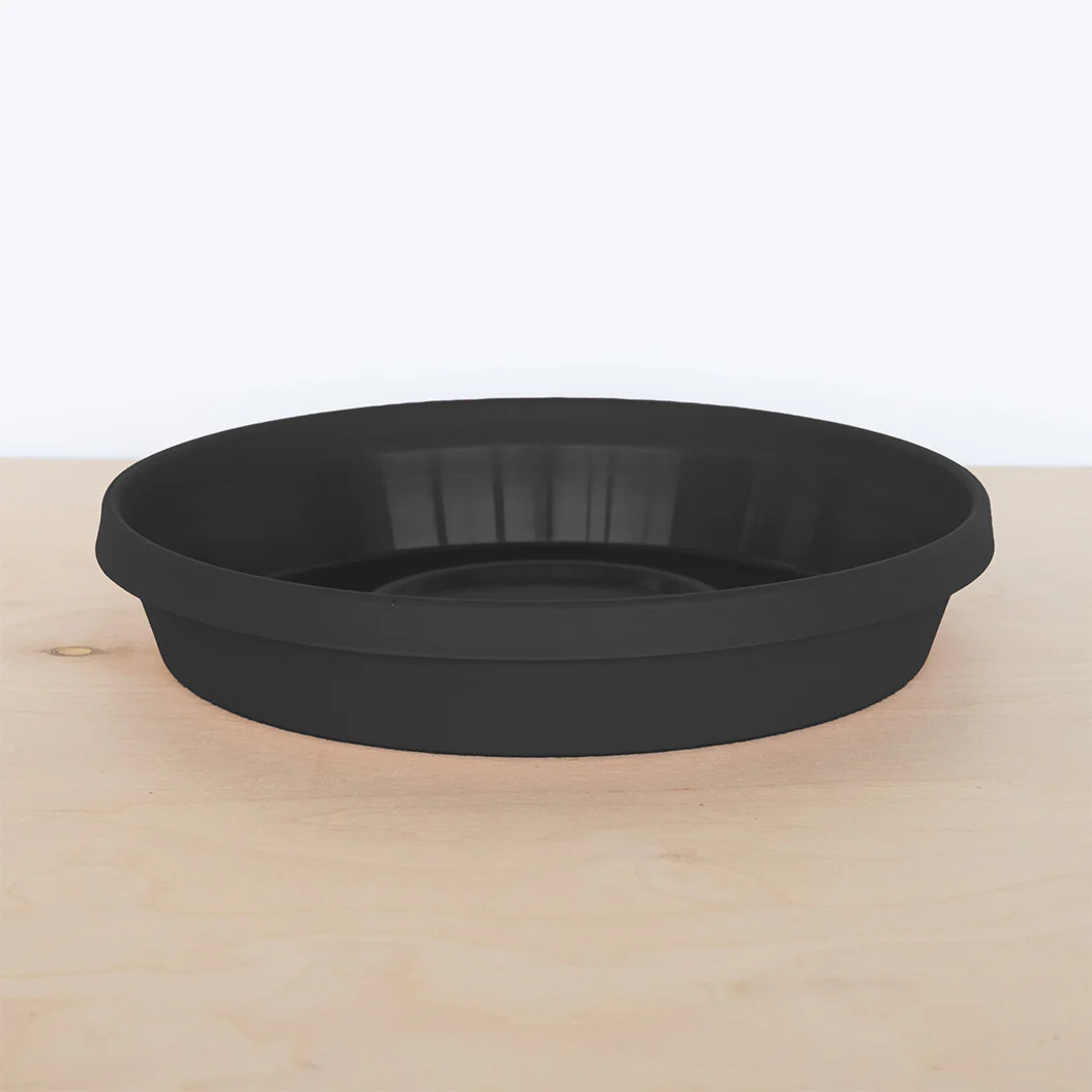 Bloem Terra Saucer in Black - Image 2