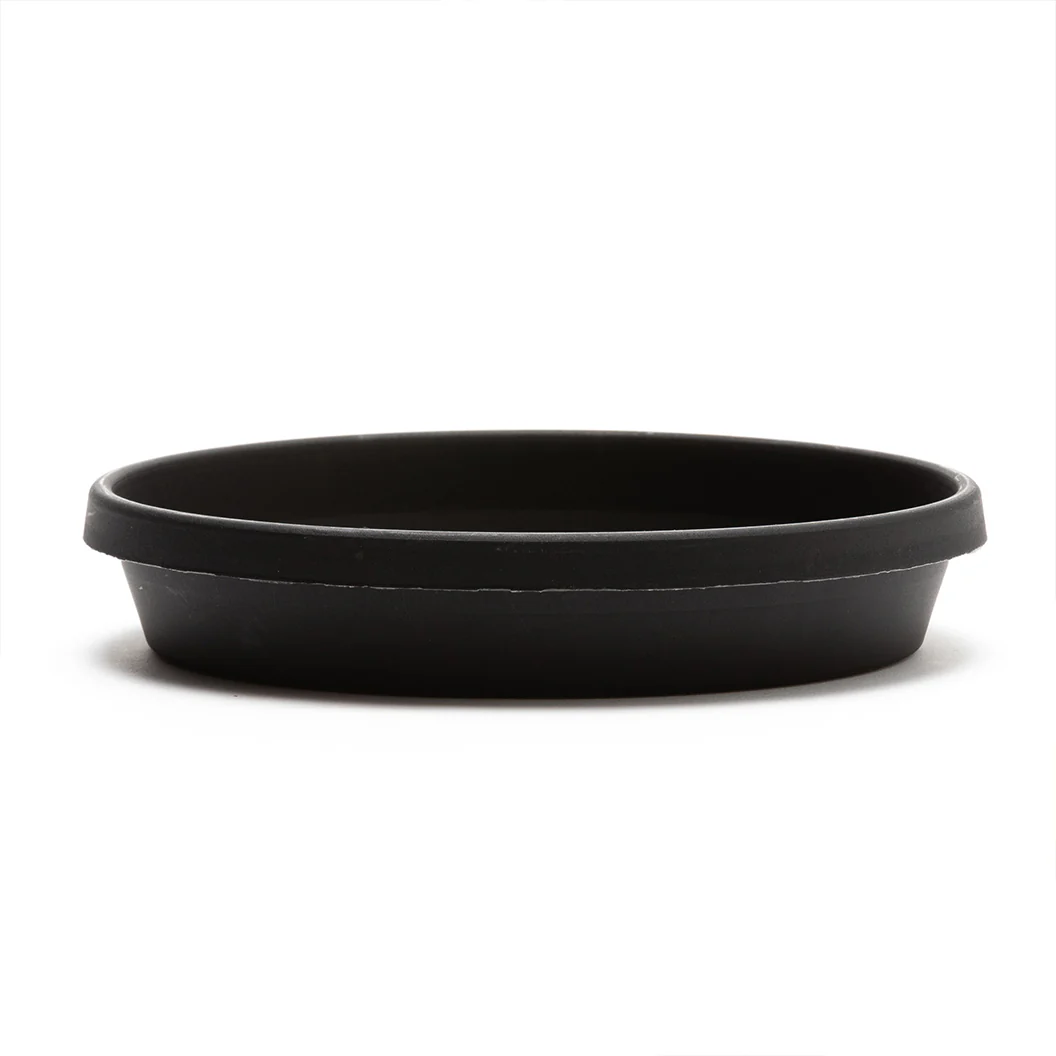 Bloem Terra Saucer in Black - Image 5