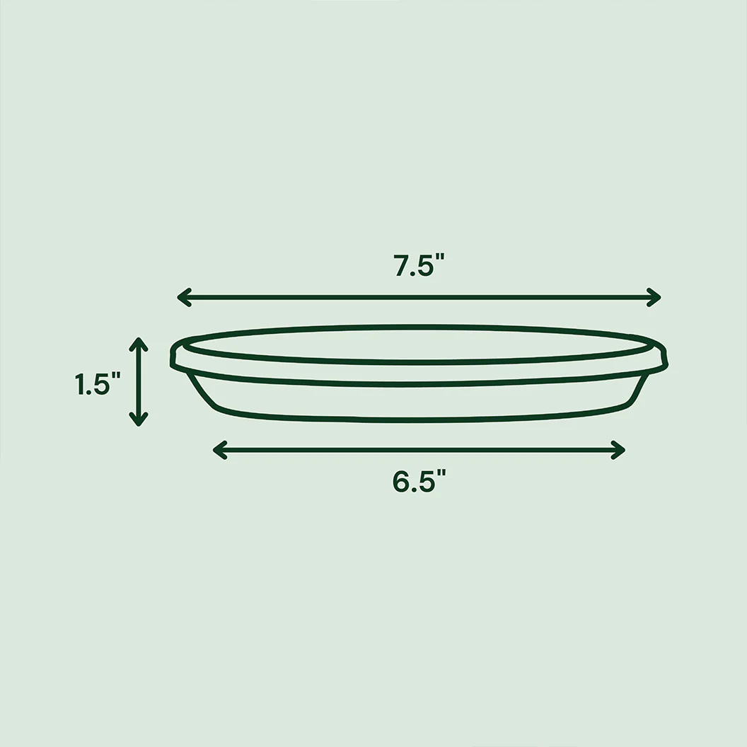 Bloem Terra Saucer in Black - Image 7