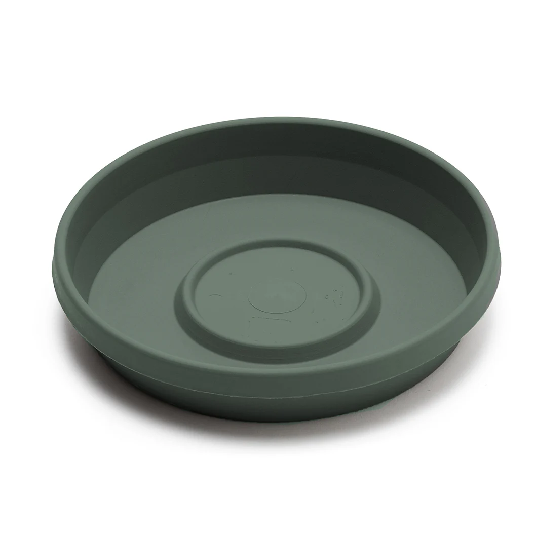Bloem Terra Saucer in Basil - Image 2