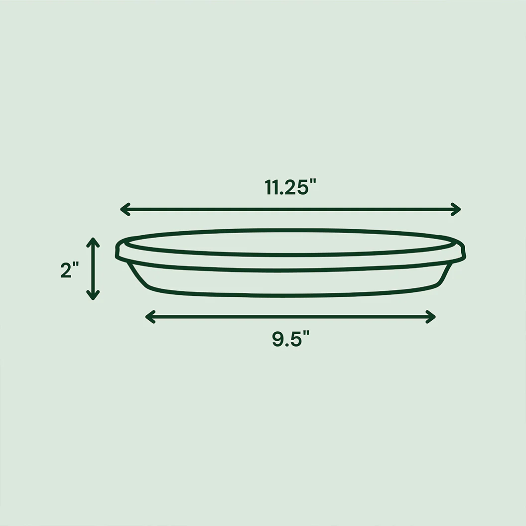 Bloem Terra Saucer in Basil - Image 3