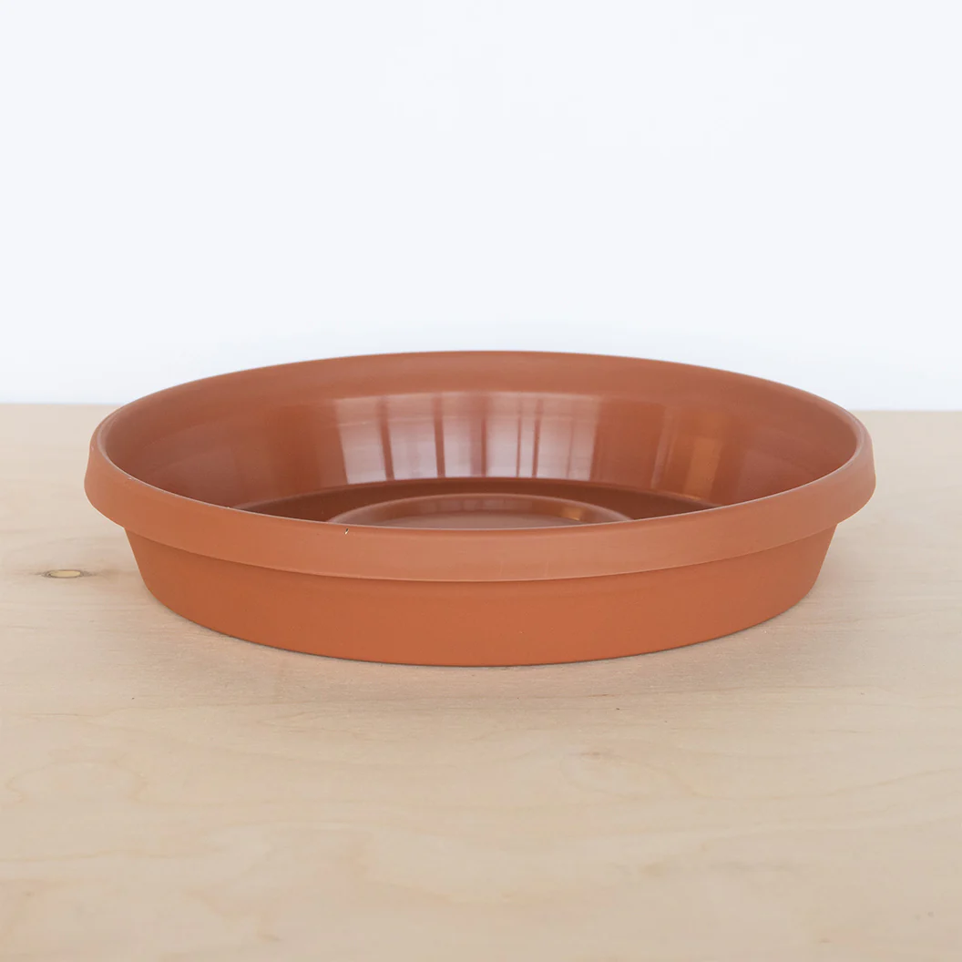 Bloem Terra Saucer in Terra Cotta - Image 2