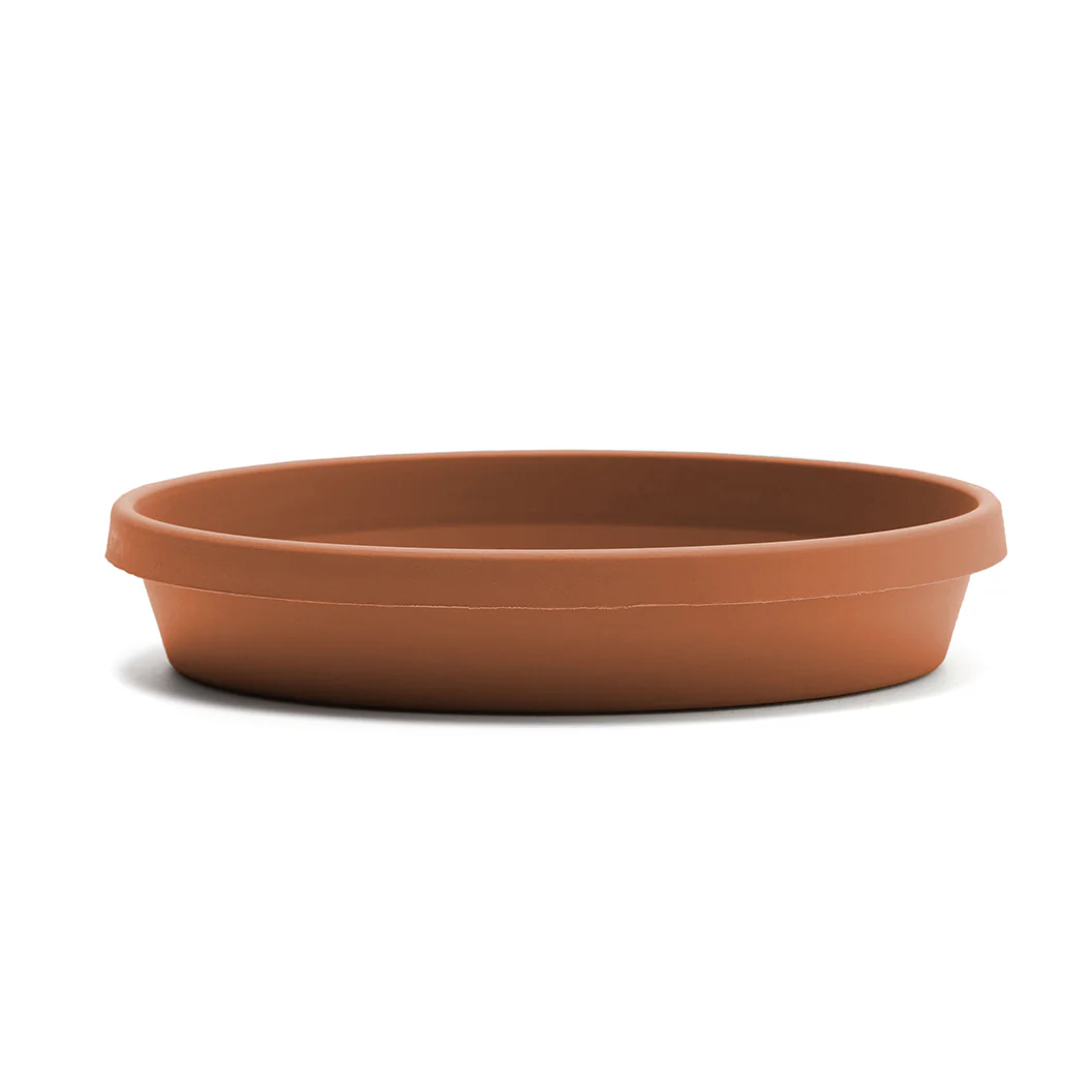 Bloem Terra Saucer in Terra Cotta - Image 3