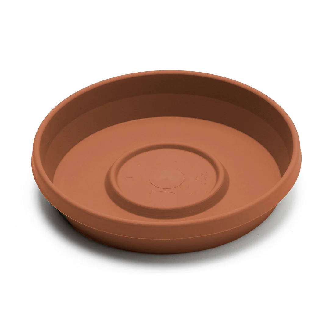 Bloem Terra Saucer in Terra Cotta - Image 4
