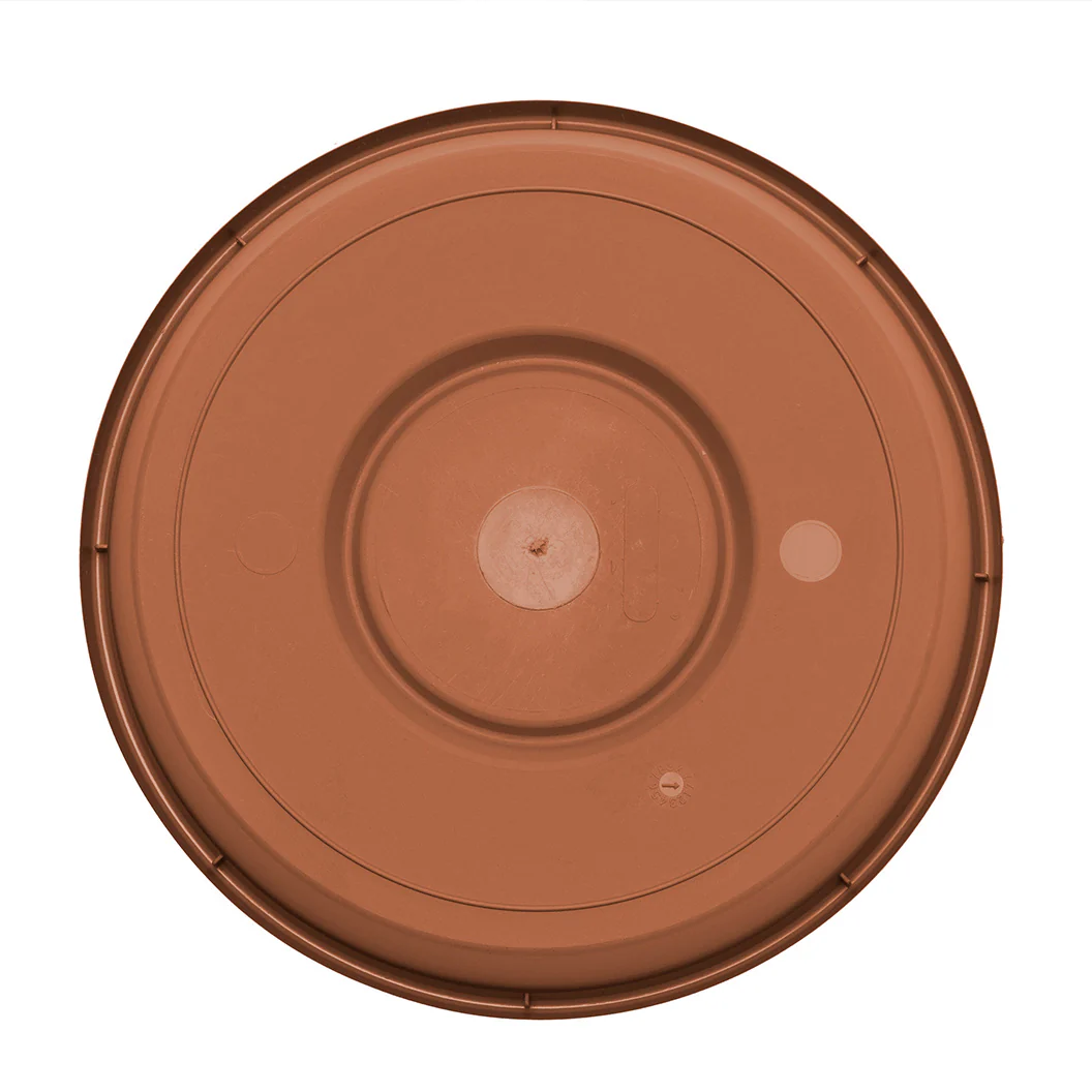 Bloem Terra Saucer in Terra Cotta - Image 5