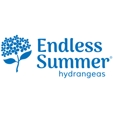 Endless Summer® BloomStruck® Reblooming Hydrangea Shrub - Image 7