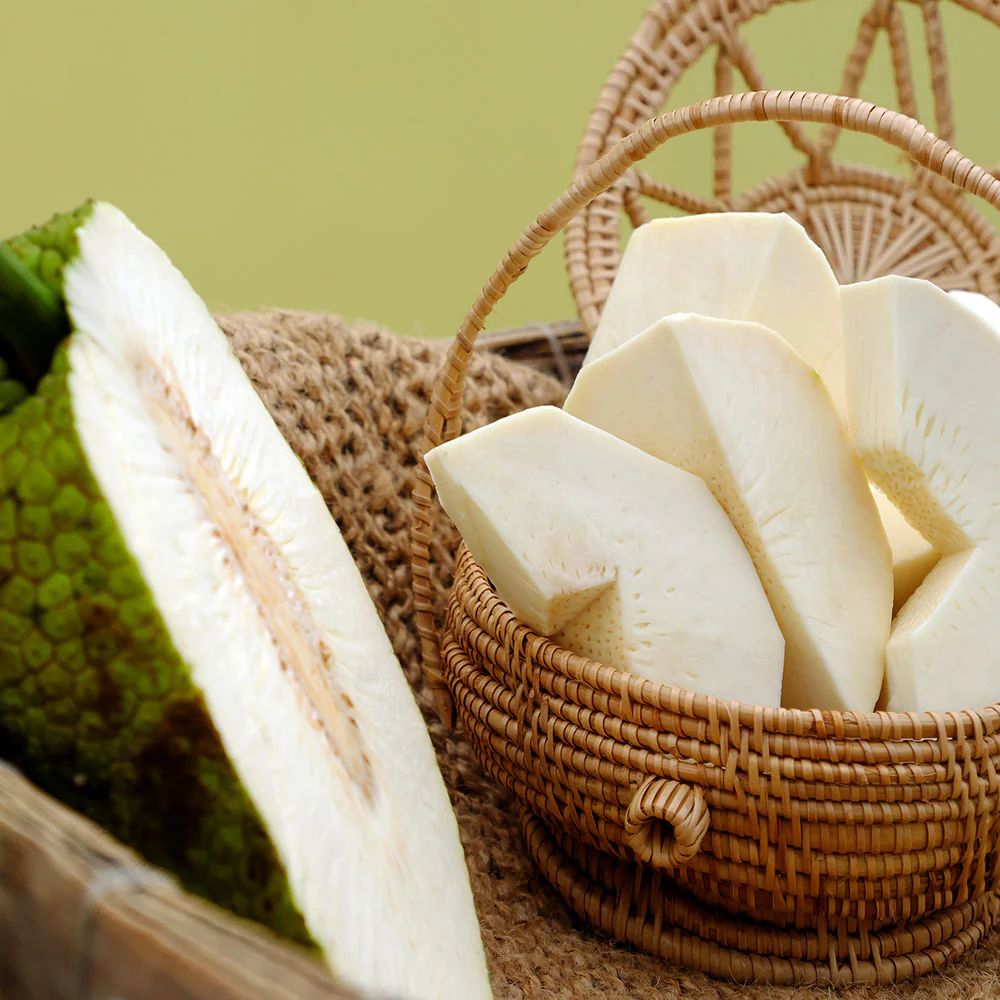 Breadfruit Tree - Image 4