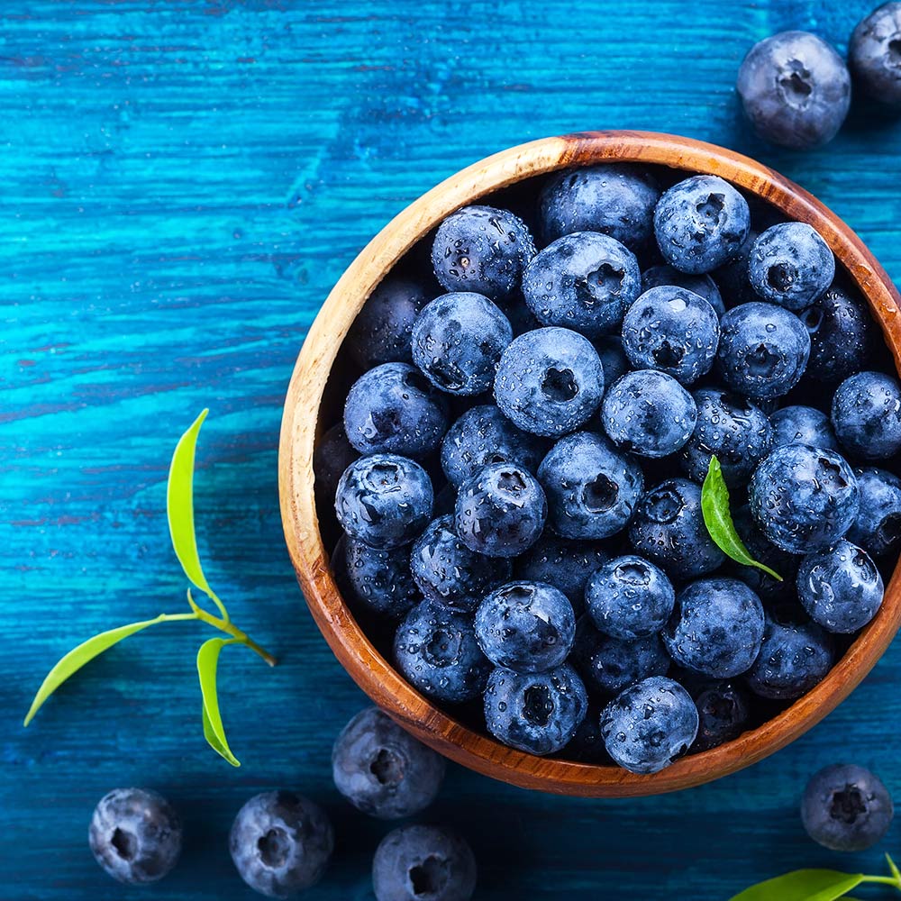 Brightwell Blueberry Bush - Image 5