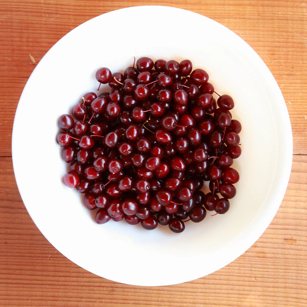 Canada Red Chokecherry Tree - Image 3