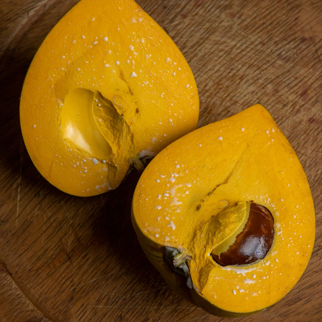 Canistel Eggfruit Tree - Image 4