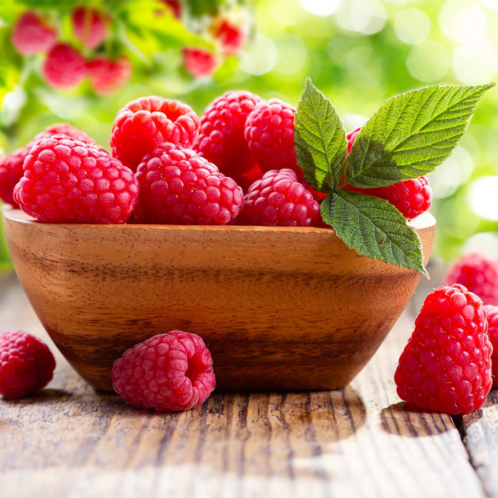 Caroline Raspberry Bush - USDA Organic - Image 3