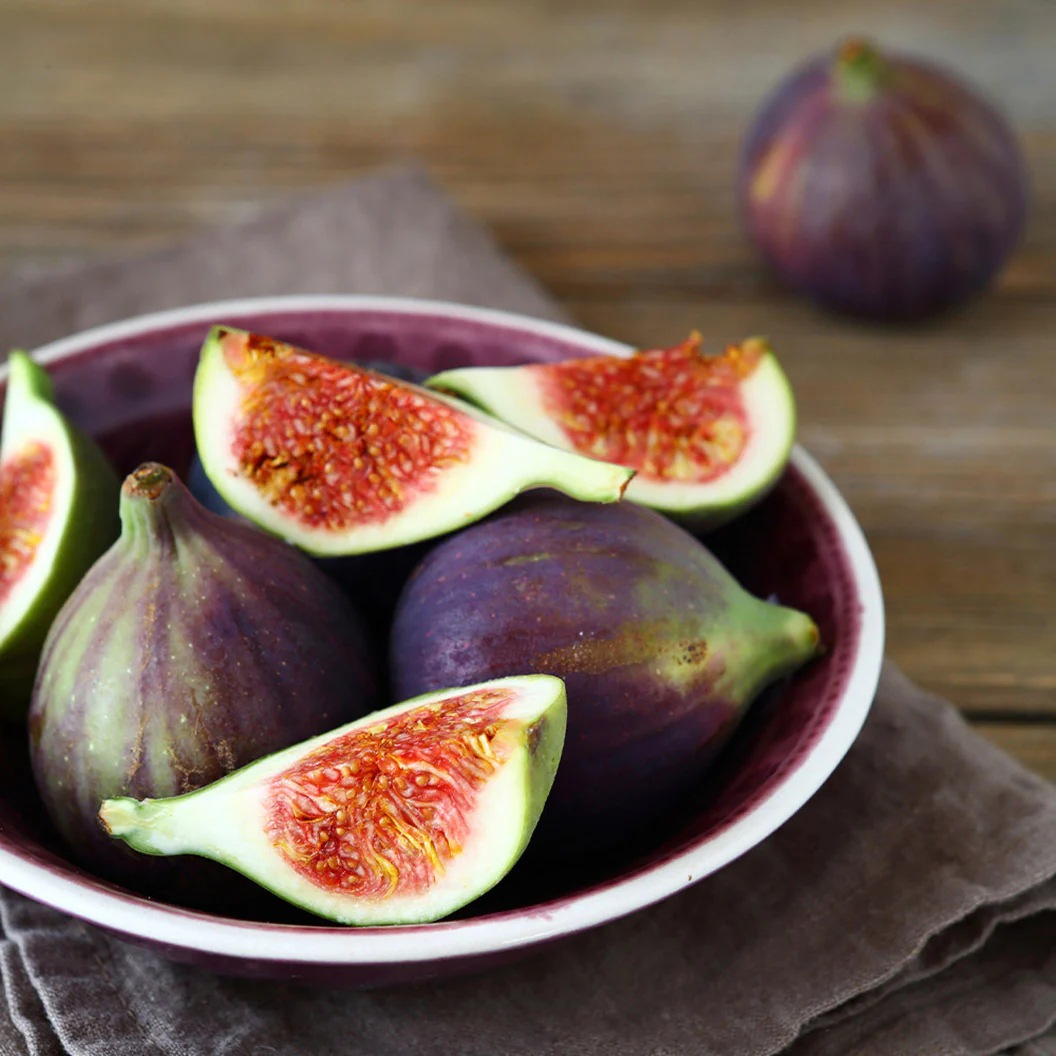 Celeste Fig Tree - Image 2