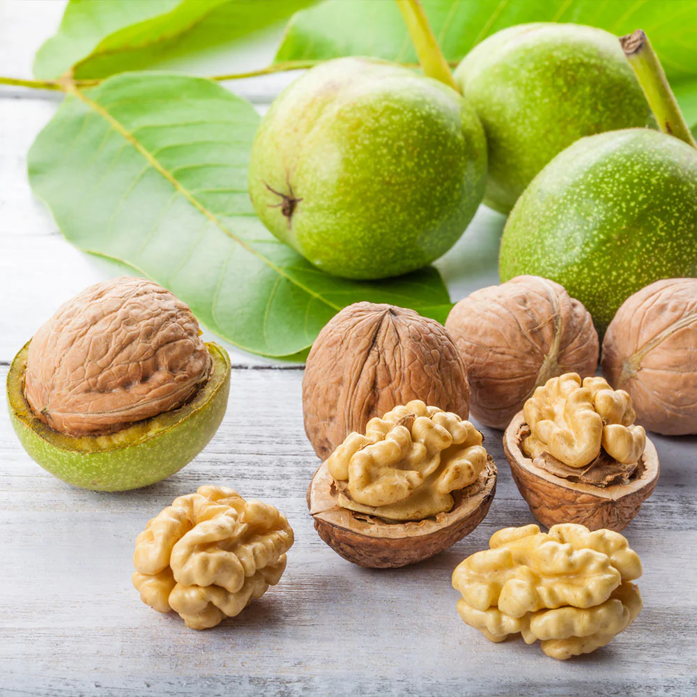 Chandler Walnut Tree - Image 2