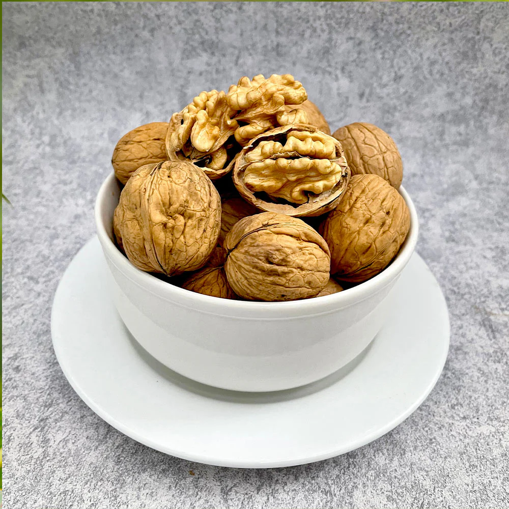 Chandler Walnut Tree - Image 5