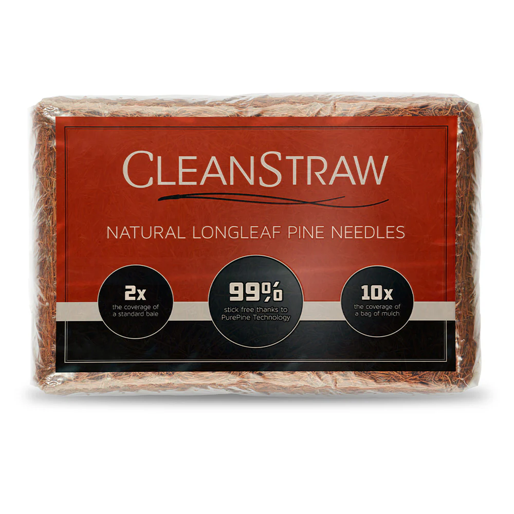CleanStraw Pine Straw - Image 2