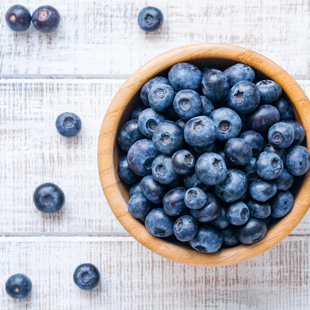 Climax Blueberry Bush - Image 5