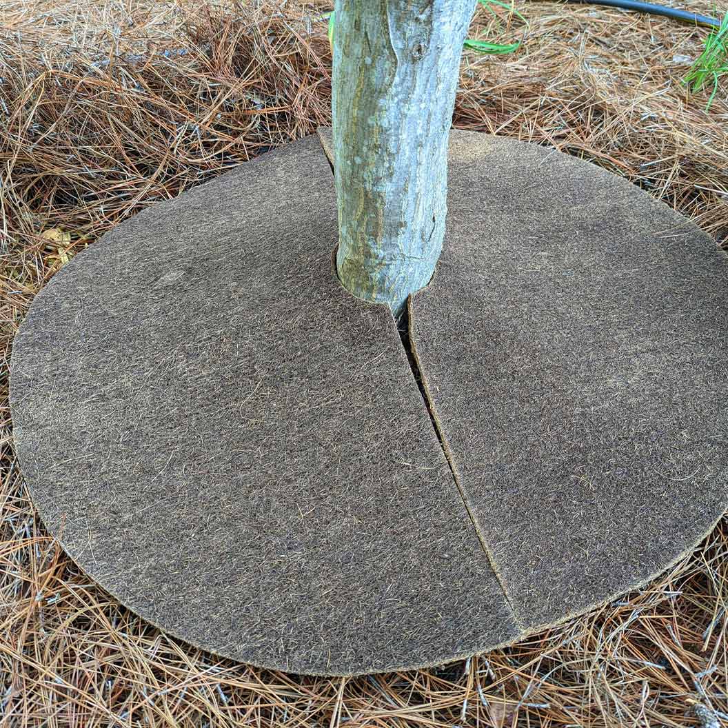 Coco Fiber Tree Protector Ring - Image 3