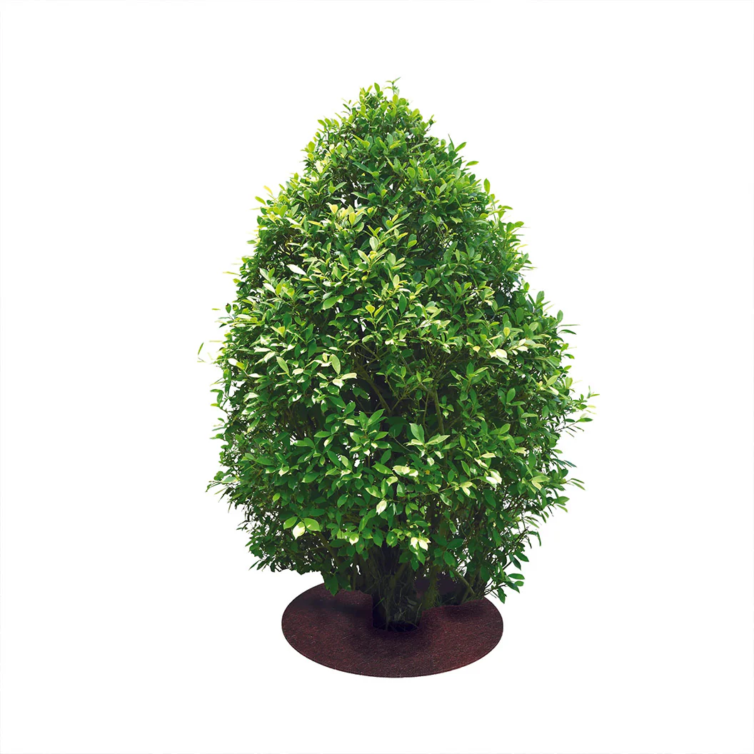 Coco Fiber Tree Protector Ring - Image 4