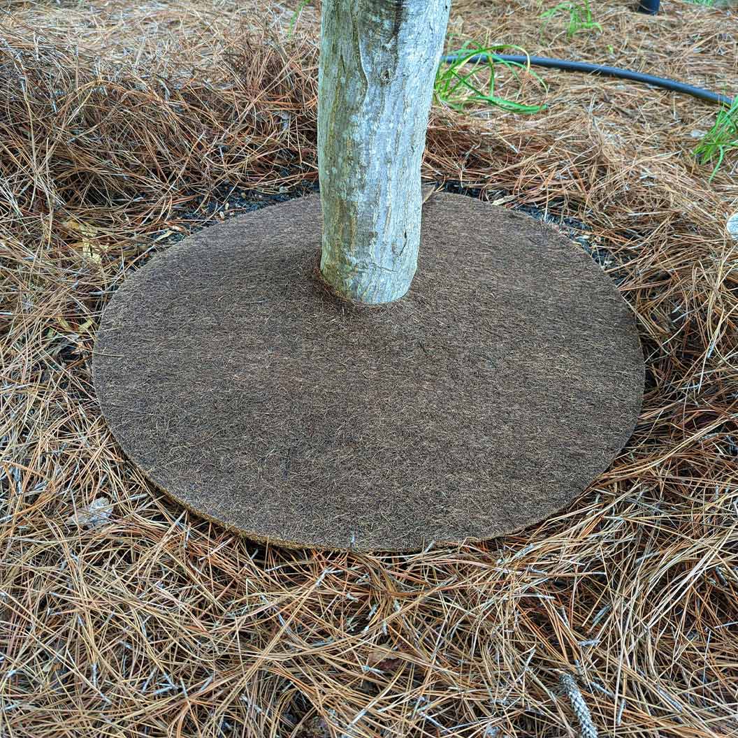 Coco Fiber Tree Protector Ring - Image 5