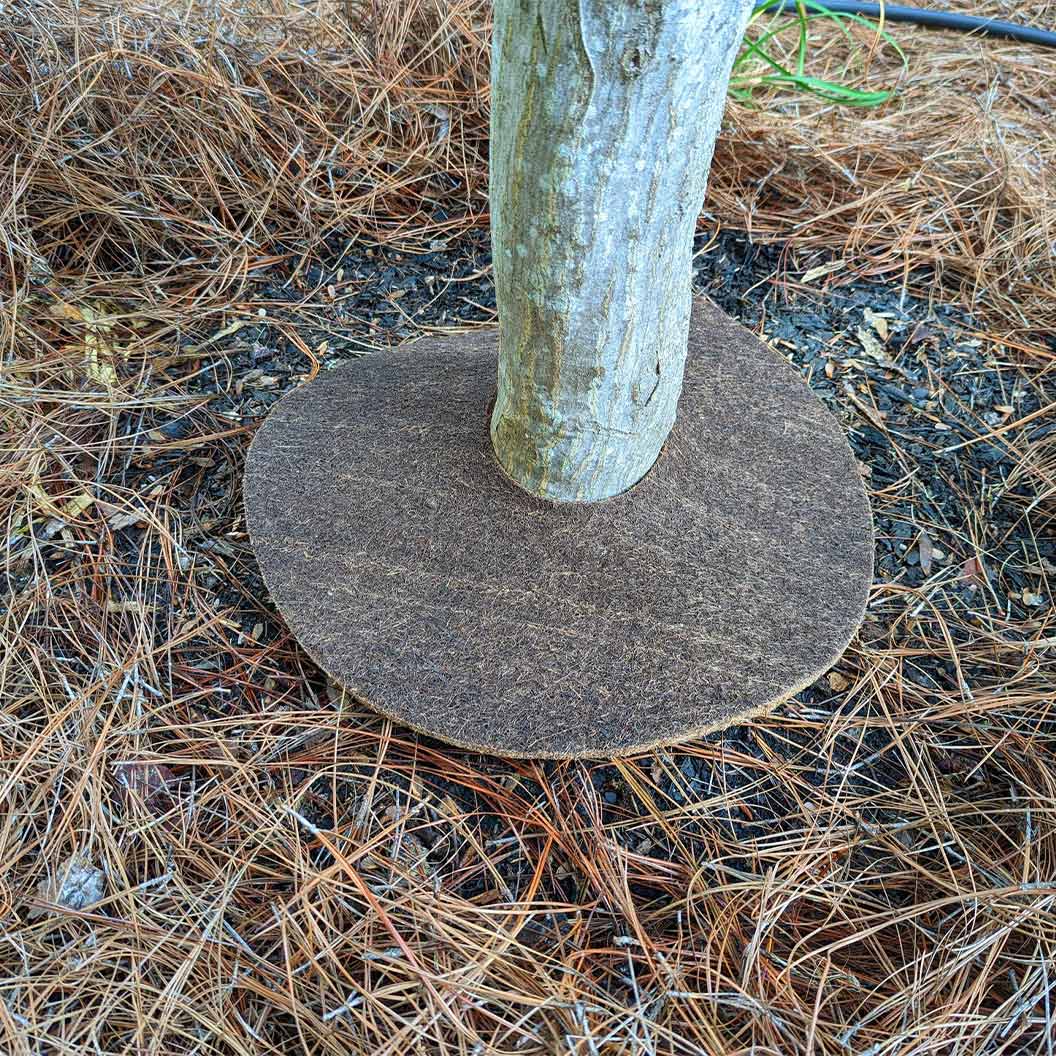 Coco Fiber Tree Protector Ring - Image 6