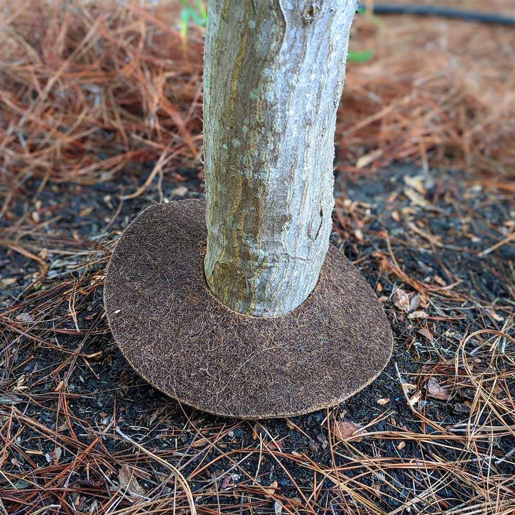 Coco Fiber Tree Protector Ring - Image 7