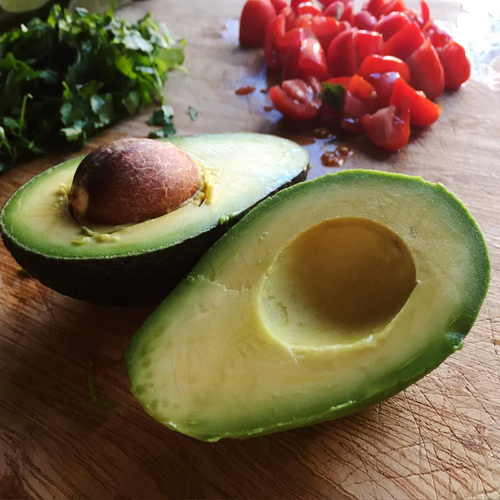 Cold Hardy Avocado Tree - Image 7