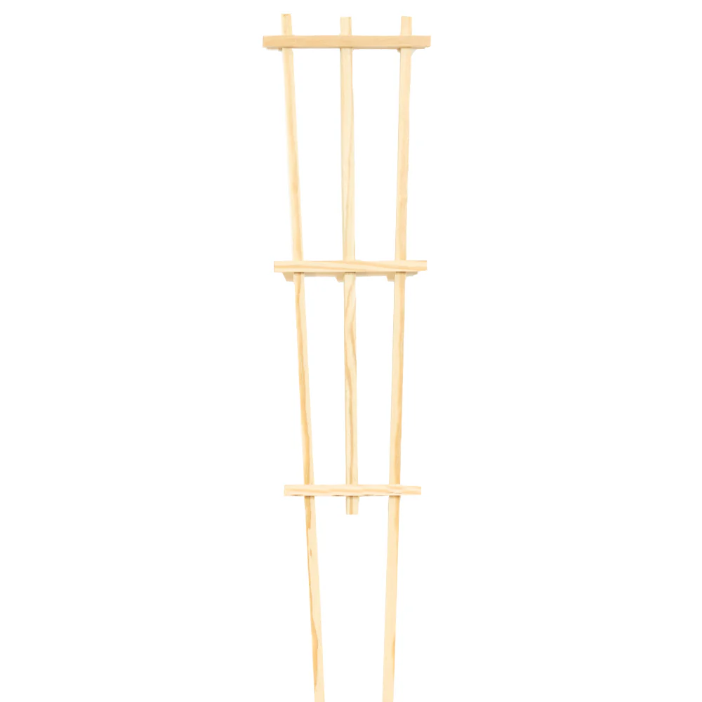 Pressure-Treated Wood Training Trellis - Image 2